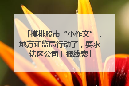 摸排股市“小作文”,地方证监局行动了,要求辖区公司上报线索