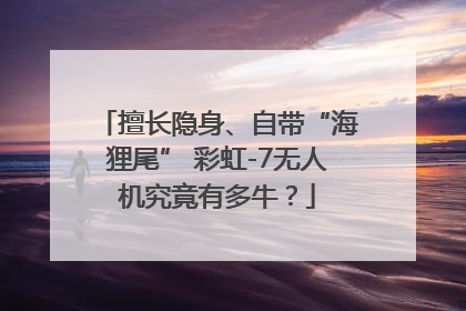 擅长隐身、自带“海狸尾” 彩虹-7无人机究竟有多牛？