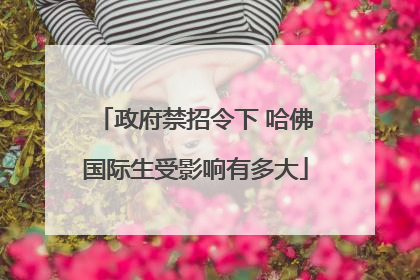 政府禁招令下 哈佛国际生受影响有多大