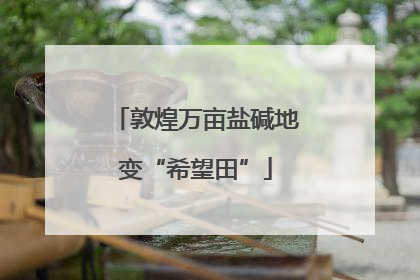 敦煌万亩盐碱地变“希望田”