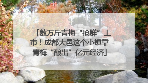 数万斤青梅“抢鲜”上市！成都大邑这个小镇靠青梅“酿出”亿元经济