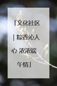文化社区｜粽香沁人心 浓浓端午情