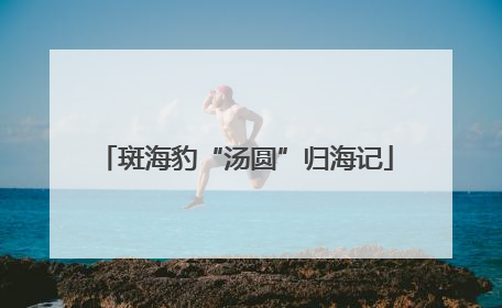 斑海豹“汤圆”归海记