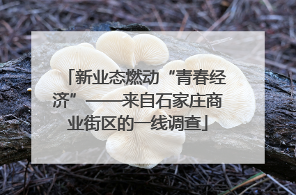 新业态燃动“青春经济”——来自石家庄商业街区的一线调查