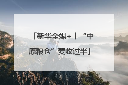 新华全媒+丨“中原粮仓”麦收过半