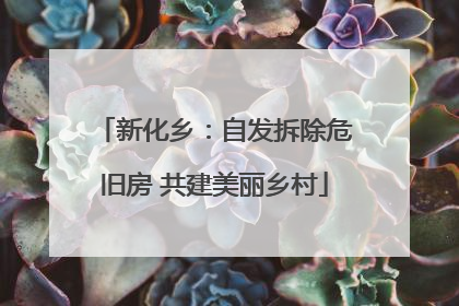 新化乡：自发拆除危旧房 共建美丽乡村
