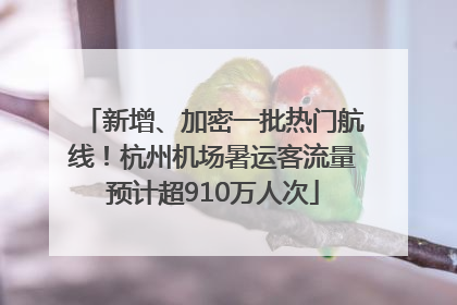 新增、加密一批热门航线！杭州机场暑运客流量预计超910万人次