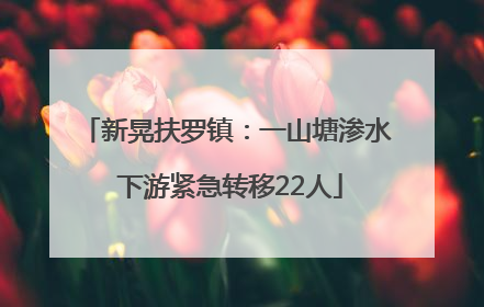 新晃扶罗镇：一山塘渗水 下游紧急转移22人