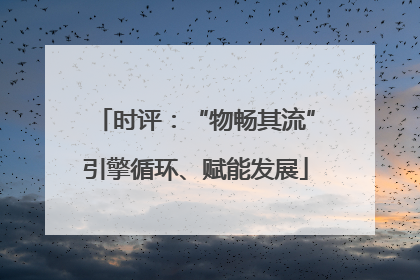 时评：“物畅其流”引擎循环、赋能发展