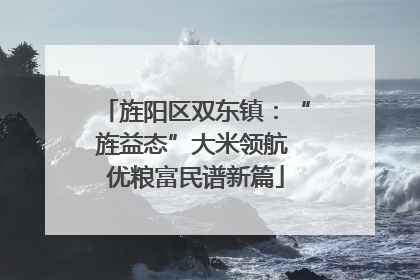 旌阳区双东镇：“旌益态”大米领航 优粮富民谱新篇