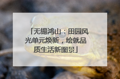 无锡鸿山：田园风光单元焕新，绘就品质生活新图景
