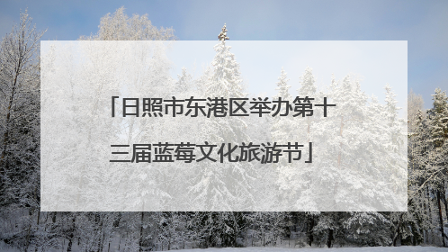 日照市东港区举办第十三届蓝莓文化旅游节