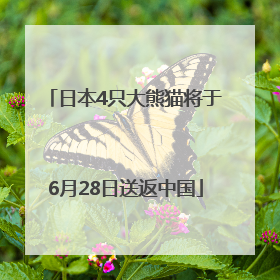 日本4只大熊猫将于6月28日送返中国