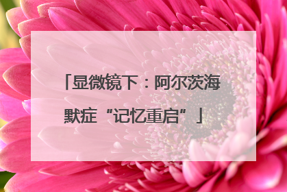 显微镜下：阿尔茨海默症“记忆重启”