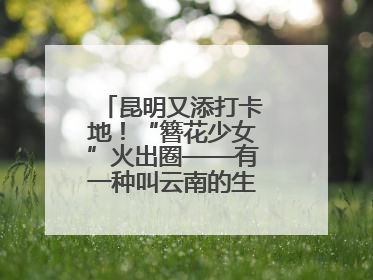 昆明又添打卡地！“簪花少女”火出圈——有一种叫云南的生活之365天