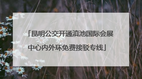 昆明公交开通滇池国际会展中心内外环免费接驳专线