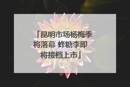 昆明市场杨梅季将落幕 蜂糖李即将接档上市