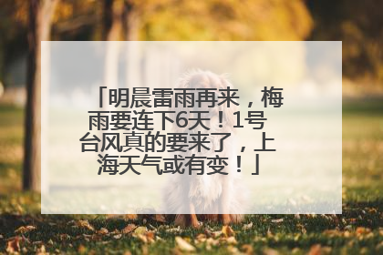 明晨雷雨再来，梅雨要连下6天！1号台风真的要来了，上海天气或有变！