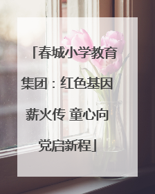 春城小学教育集团：红色基因薪火传 童心向党启新程