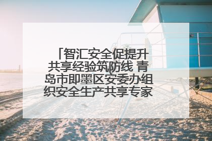 智汇安全促提升 共享经验筑防线 青岛市即墨区安委办组织安全生产共享专家现场观摩学习活动