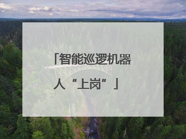 智能巡逻机器人“上岗”