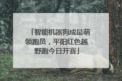 智能机器狗成最萌领跑员，平阳红色越野跑今日开赛