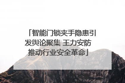 智能门锁夹手隐患引发舆论聚集 王力安防推动行业安全革命