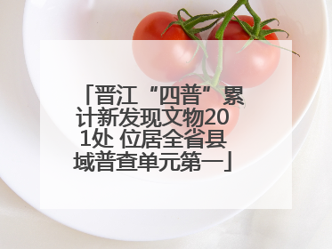 晋江“四普”累计新发现文物201处 位居全省县域普查单元第一