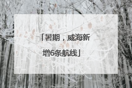 暑期，威海新增6条航线