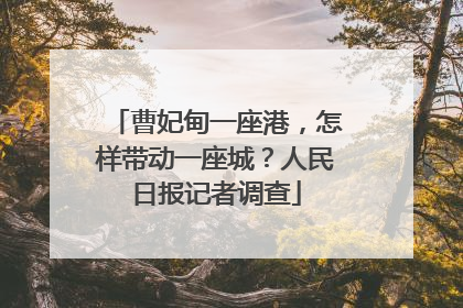 曹妃甸一座港，怎样带动一座城？人民日报记者调查