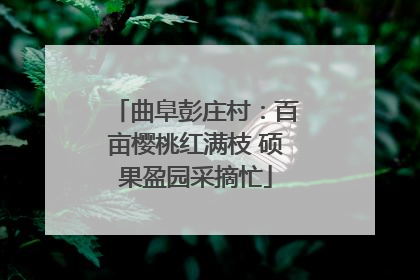 曲阜彭庄村：百亩樱桃红满枝 硕果盈园采摘忙