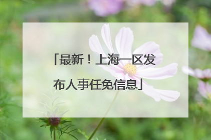 最新！上海一区发布人事任免信息