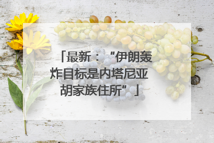 最新：“伊朗轰炸目标是内塔尼亚胡家族住所”