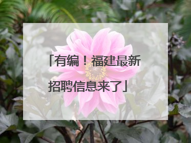 有编！福建最新招聘信息来了