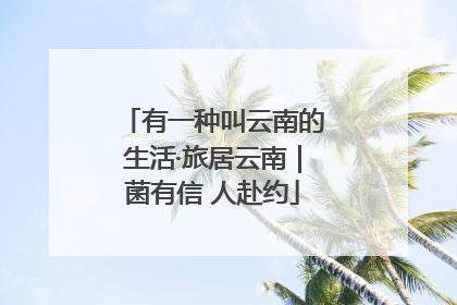 有一种叫云南的生活·旅居云南｜菌有信 人赴约