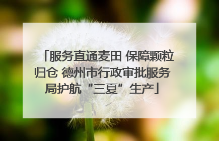 服务直通麦田 保障颗粒归仓 德州市行政审批服务局护航“三夏”生产