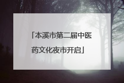 本溪市第二届中医药文化夜市开启