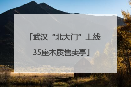 武汉“北大门”上线35座木质售卖亭