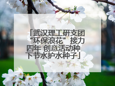 武汉理工研支团“环保浪花”接力四年 创意活动种下节水护水种子