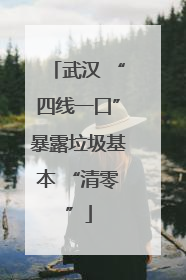 武汉 “四线一口”暴露垃圾基本 “清零”