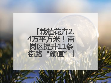 栽植花卉2.4万平方米！南岗区提升11条街路“颜值”