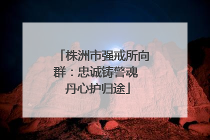 株洲市强戒所向群：忠诚铸警魂 丹心护归途
