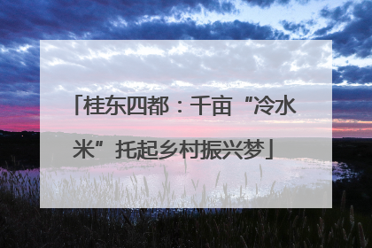 桂东四都：千亩“冷水米”托起乡村振兴梦