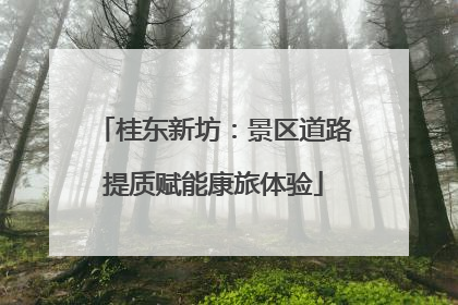 桂东新坊：景区道路提质赋能康旅体验