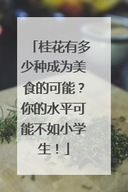 桂花有多少种成为美食的可能？你的水平可能不如小学生！