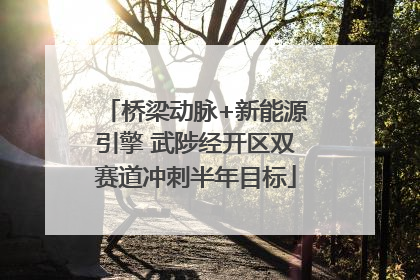 桥梁动脉+新能源引擎 武陟经开区双赛道冲刺半年目标