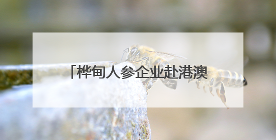 桦甸人参企业赴港澳参加吉港澳经贸交流