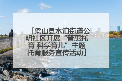 梁山县水泊街道公明社区开展“普惠托育 科学育儿”主题托育服务宣传活动
