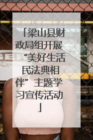 梁山县财政局组开展“美好生活 民法典相伴”主题学习宣传活动