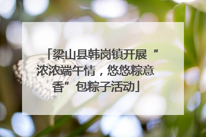 梁山县韩岗镇开展“浓浓端午情，悠悠粽意香”包粽子活动